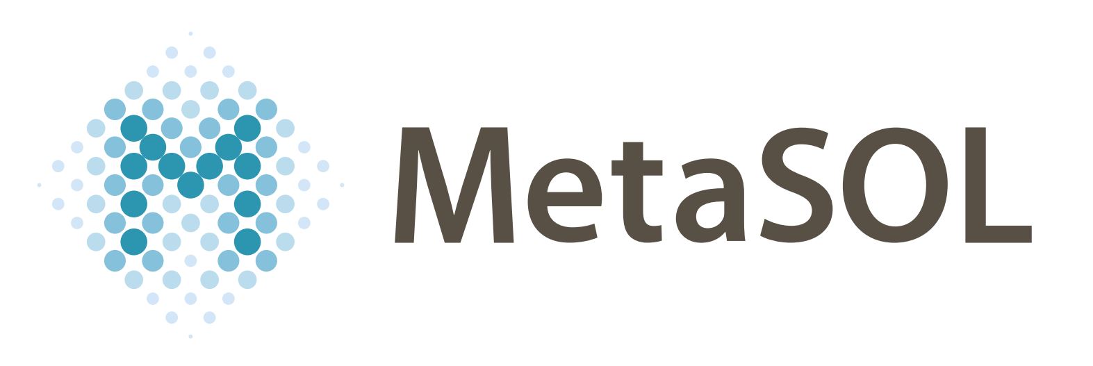 MetaSOL 로고